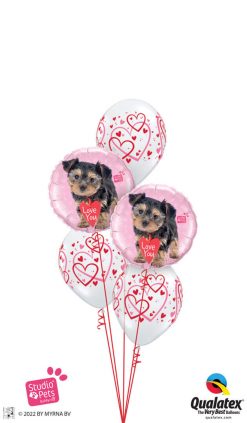 Bukiet 711 Valentine's Hearts & Puppies Qualatex #55232-2 40295-3