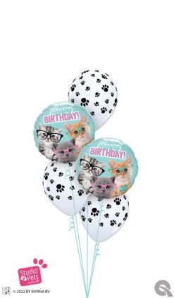 Bukiet 1618 Hope Your Birthday is the Cat’s Meow! Qualatex #19286-2 61888-3